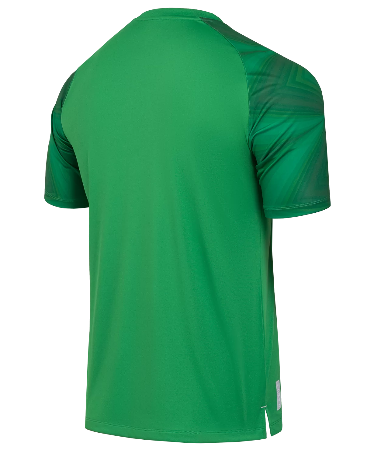 Реальное фото Футболка вратарская NATIONAL PerFormDRY GK Jersey, зеленый от магазина СпортСЕ
