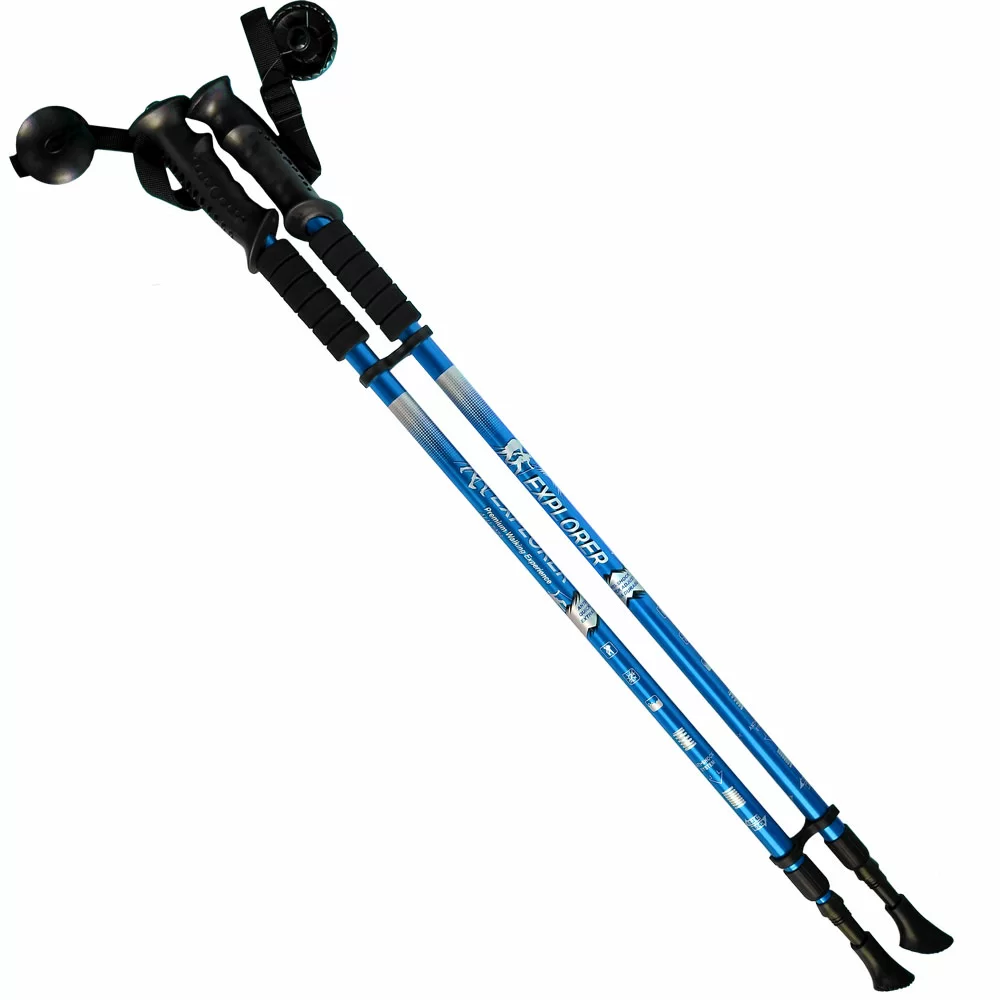 Реальное фото Палки для скандинавской ходьбы R18141-Pro 2-х секционные с чехлом синие 10014697 от магазина СпортСЕ